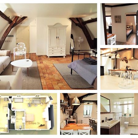 Chateau La Mothaye - Self Catering Apartments With Pool In The Loire Valley Les Bois-d'Anjou Екстер'єр фото