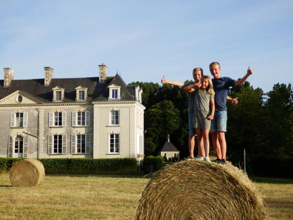 Chateau La Mothaye - Self Catering Apartments With Pool In The Loire Valley Les Bois-d'Anjou Екстер'єр фото
