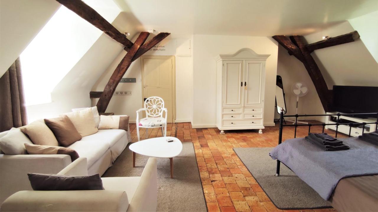 Chateau La Mothaye - Self Catering Apartments With Pool In The Loire Valley Les Bois-d'Anjou Екстер'єр фото