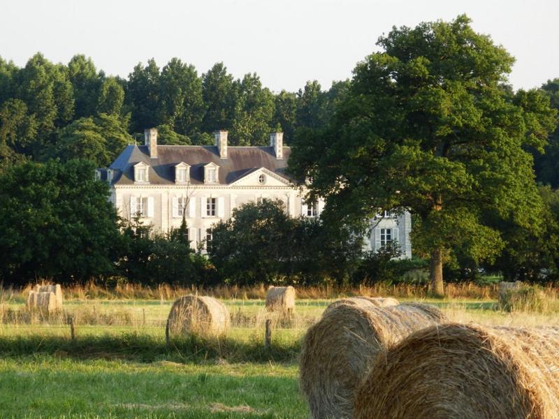 Chateau La Mothaye - Self Catering Apartments With Pool In The Loire Valley Les Bois-d'Anjou Номер фото
